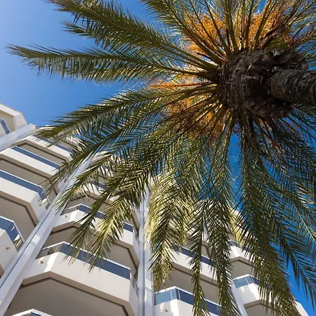 فندق Riva Art & 4*